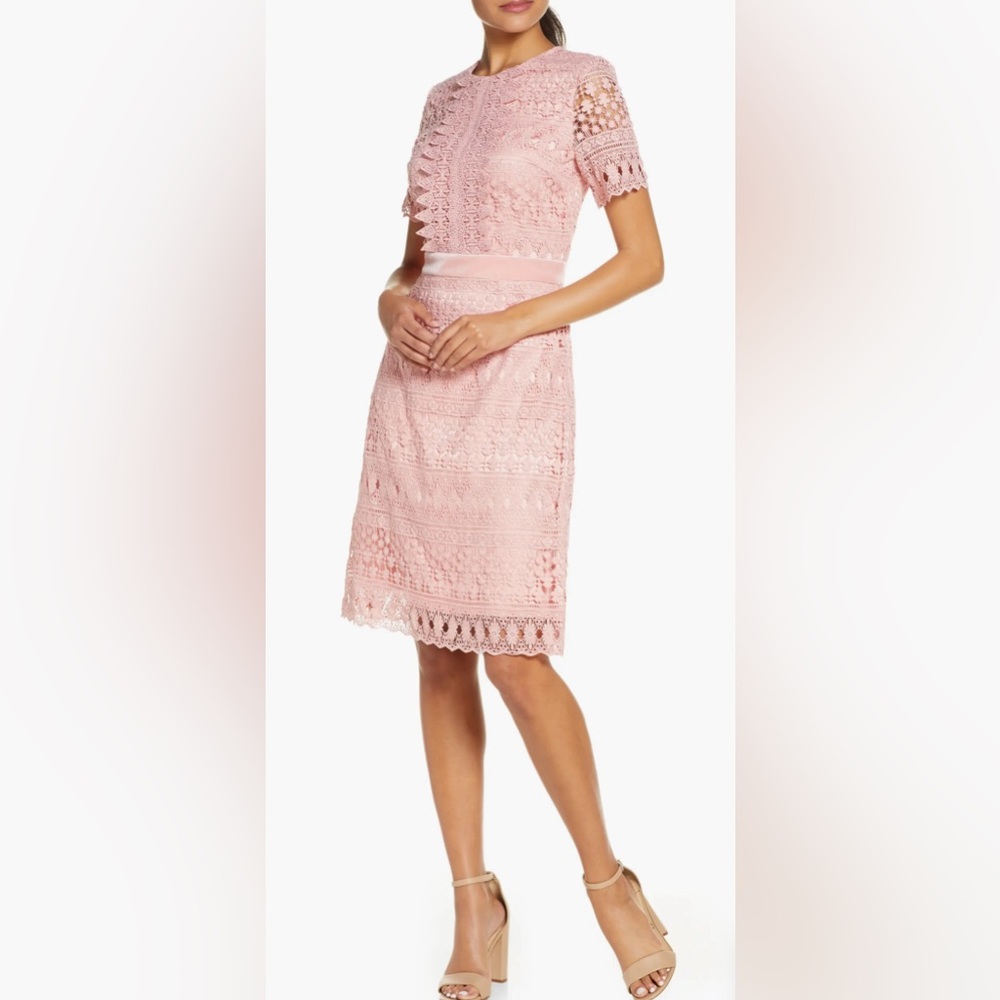 Rachel Parcell Blush Pink Lace Dress